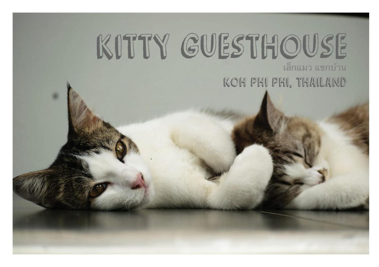 קו פי פי Kitty Guesthouse מראה חיצוני תמונה
